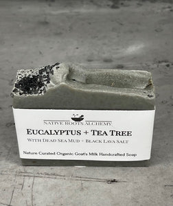 Eucalyptus + Tea Tree Goat's Milk Soap